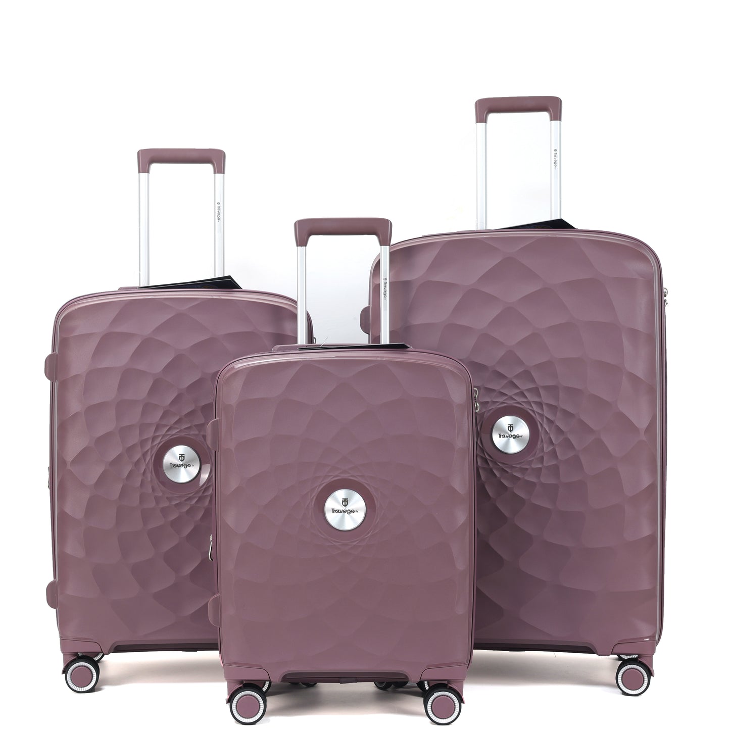 Spider Lilly | 3 Pcs Trolley CASE